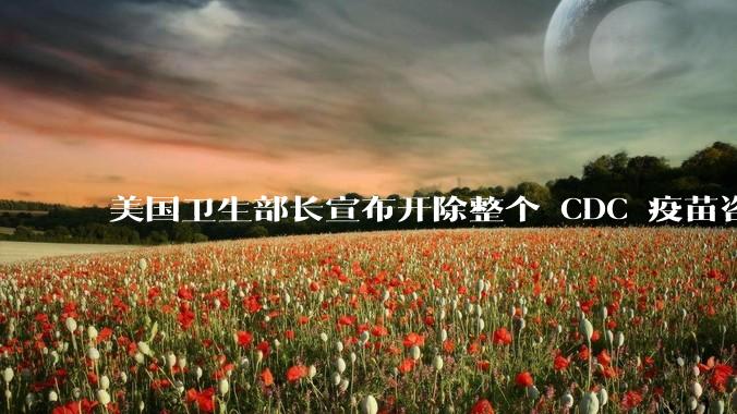 美国卫生部长宣布开除整个 CDC 疫苗咨询委员会，这一举动将如何影响美国疫苗政策的权威性和科学性？