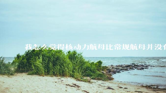 我怎么觉得核动力航母比常规航母并没有多大优势？