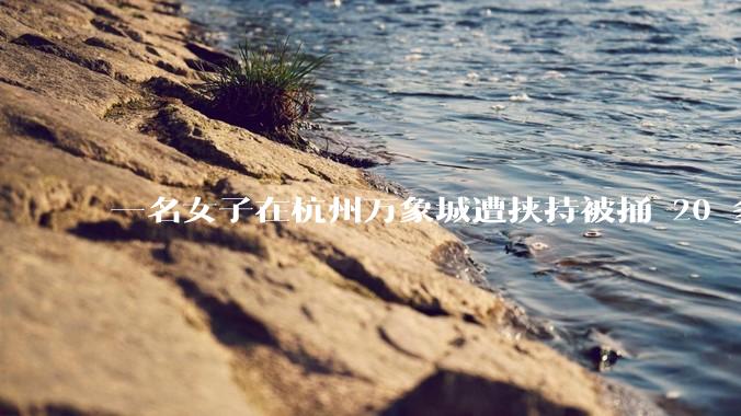 一名女子在杭州万象城遭挟持被捅 20 多刀，隆胸***体救了一命，这反映出哪些公安系统的问题？