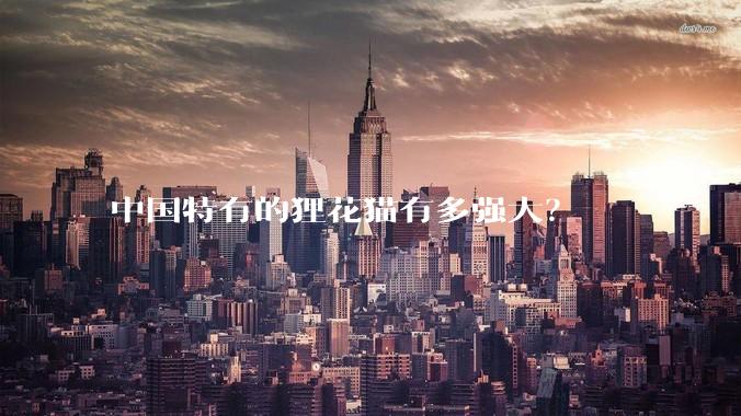 中国特有的狸花猫有多强大？
